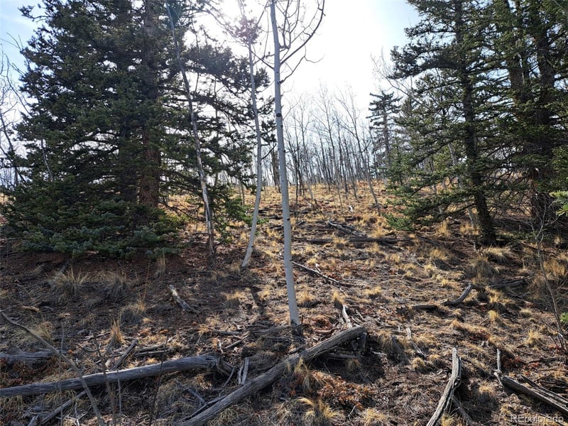 93 Wyandot Way, Como, CO 80432