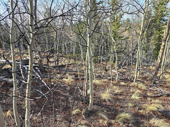 93 Wyandot Way, Como, CO 80432