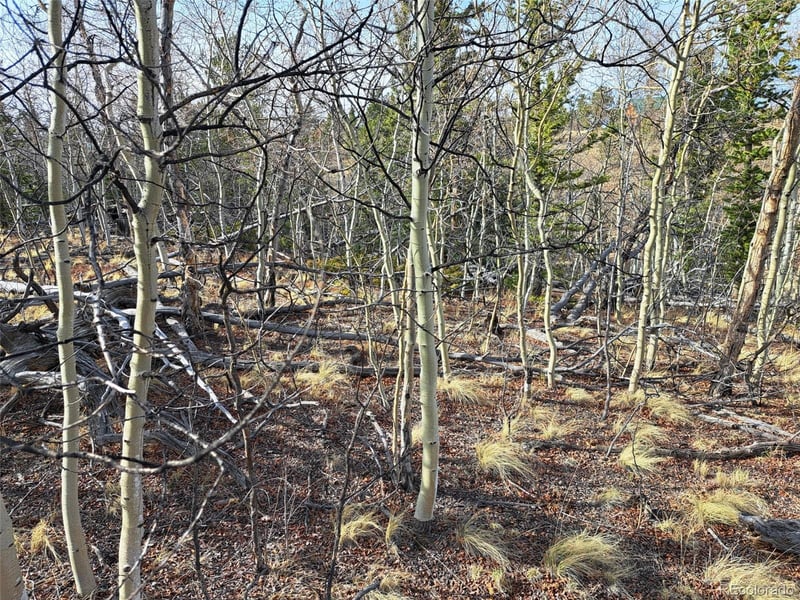 93 Wyandot Way, Como, CO 80432