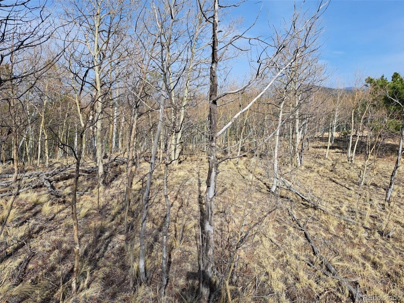 93 Wyandot Way, Como, CO 80432