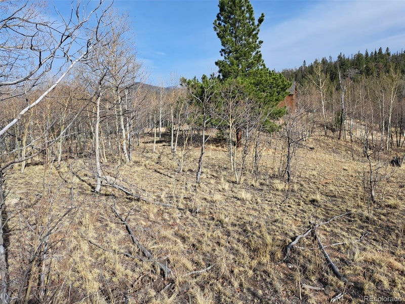 93 Wyandot Way, Como, CO 80432