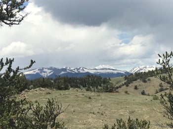 1460 Breton Cir, Jefferson, CO 80456