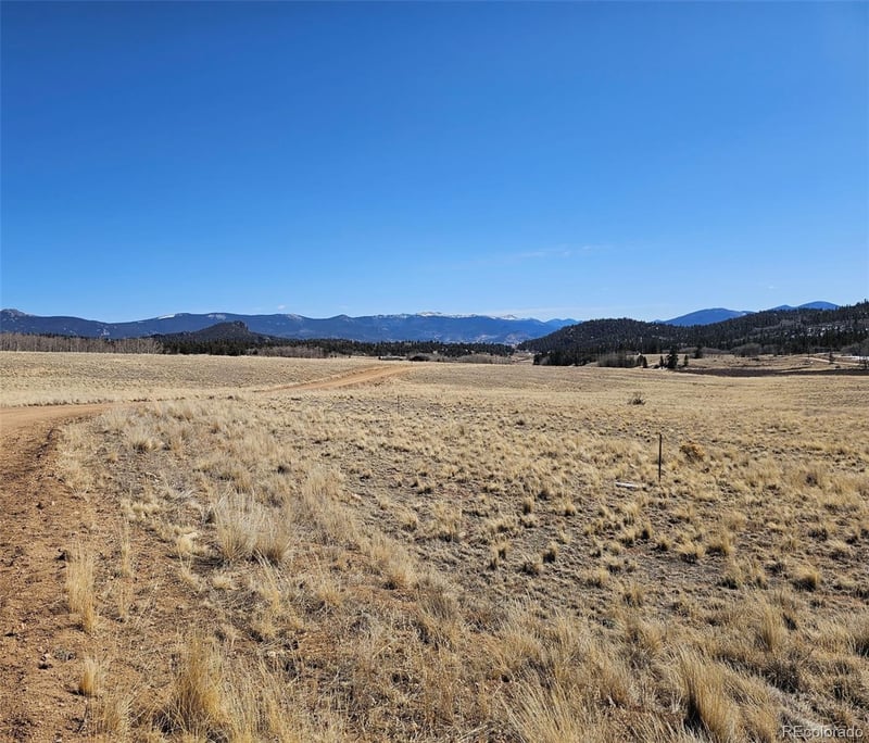 1907 Wampum Ln, Jefferson, CO 80456