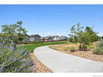 7331 Swan River St, Frederick, CO 80530