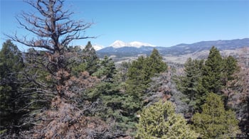 Lot 155 Tahmoush Ln, Fort Garland, CO 81133