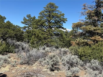 Lot 155 Tahmoush Ln, Fort Garland, CO 81133