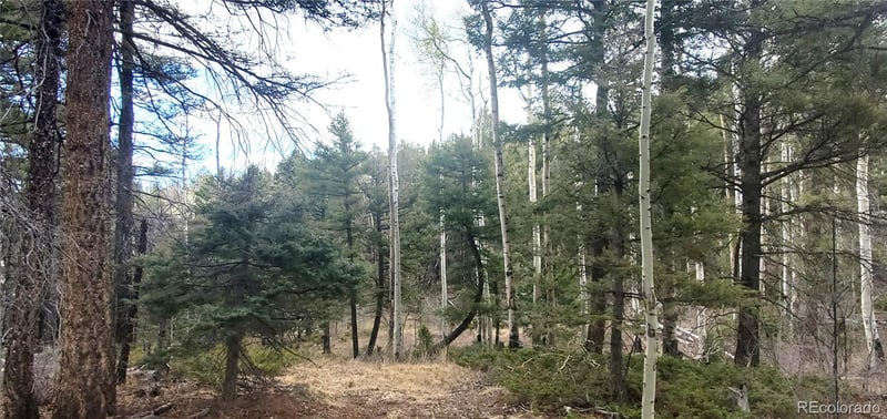 Lot 6090 Vreeland Rd Lot 6090, San Luis, CO 81152
