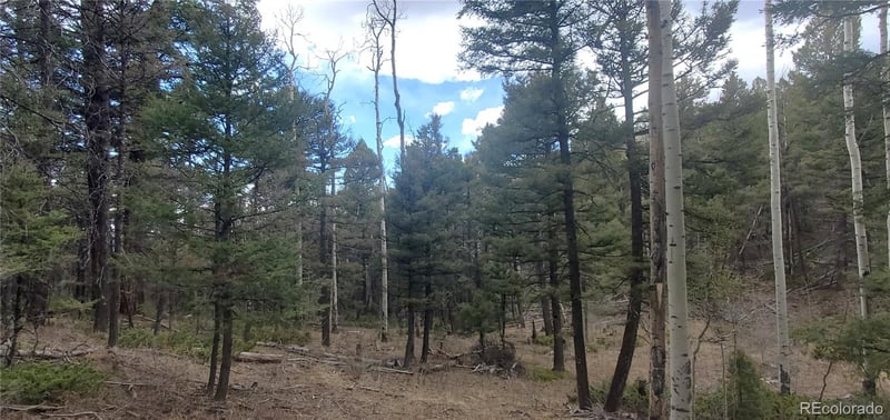 Lot 6090 Vreeland Rd Lot 6090, San Luis, CO 81152