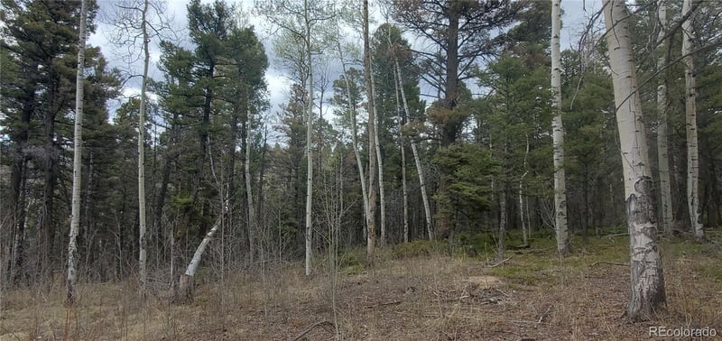 Lot 6090 Vreeland Rd Lot 6090, San Luis, CO 81152
