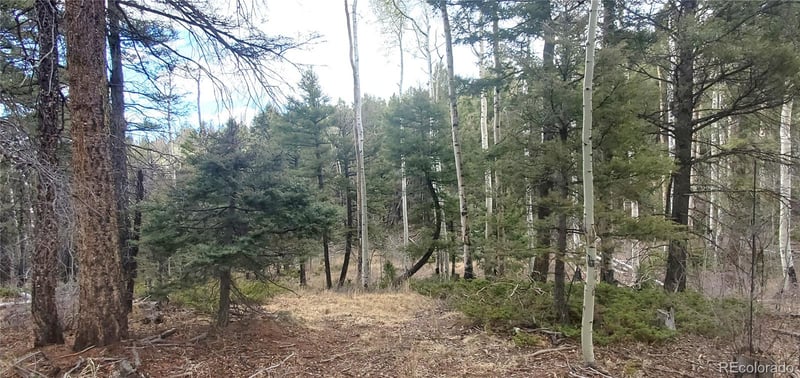 Lot 6090 Vreeland Rd Lot 6090, San Luis, CO 81152