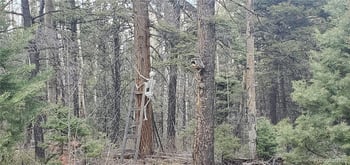 Lot 6090 Vreeland Rd, San Luis, CO 81152