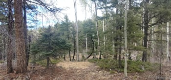 Lot 6090 Vreeland Rd, San Luis, CO 81152