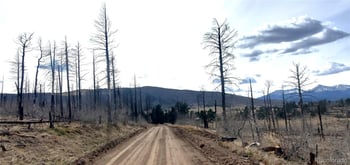 lot 1223 Emery Loop, Fort Garland, CO 81133