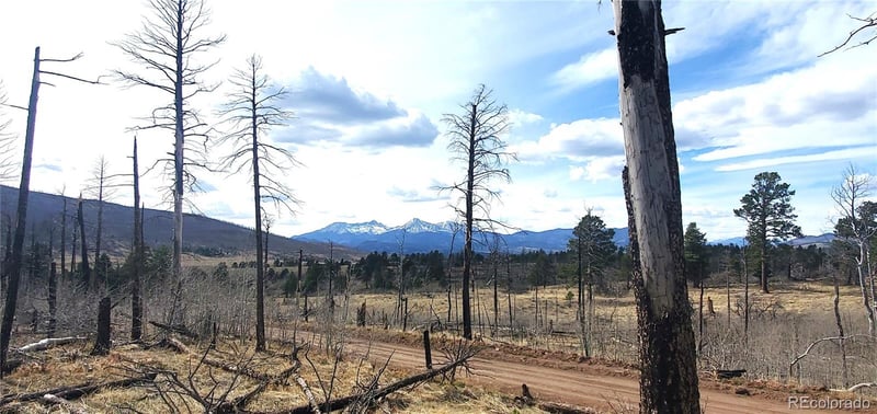 lot 1223 Emery Loop, Fort Garland, CO 81133