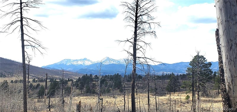 lot 1223 Emery Loop, Fort Garland, CO 81133