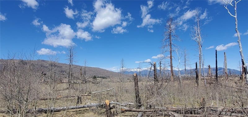 lot 1228 Granville Loop, Fort Garland, CO 81133