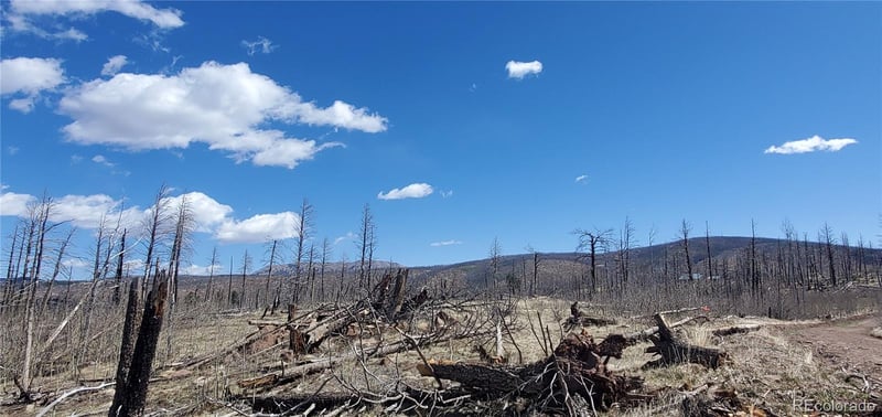 lot 1228 Granville Loop, Fort Garland, CO 81133