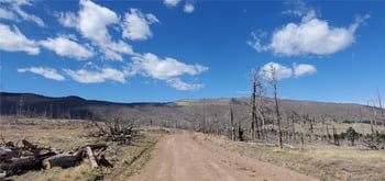 lot 1228 Granville Loop, Fort Garland, CO 81133
