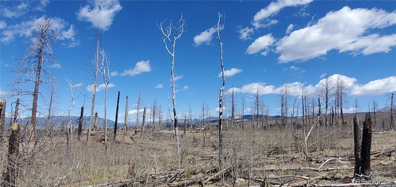 lot 1228 Granville Loop, Fort Garland, CO 81133