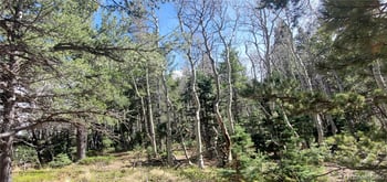 Lot 2560 Grojean Dr, Fort Garland, CO 81133