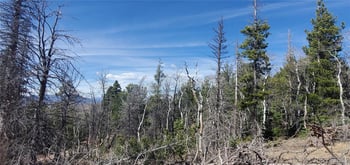 Lot 2560 Grojean Dr, Fort Garland, CO 81133