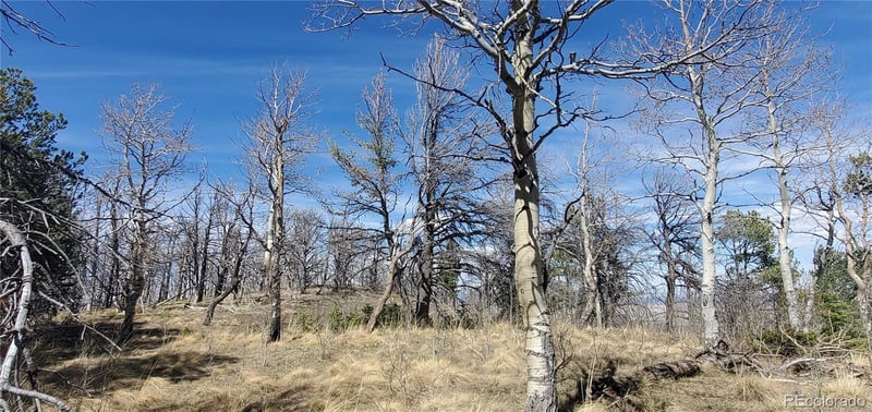 Lot 2560 Grojean Dr, Fort Garland, CO 81133