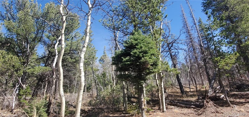 Lot 2560 Grojean Dr Lot 2560, Fort Garland, CO 81133
