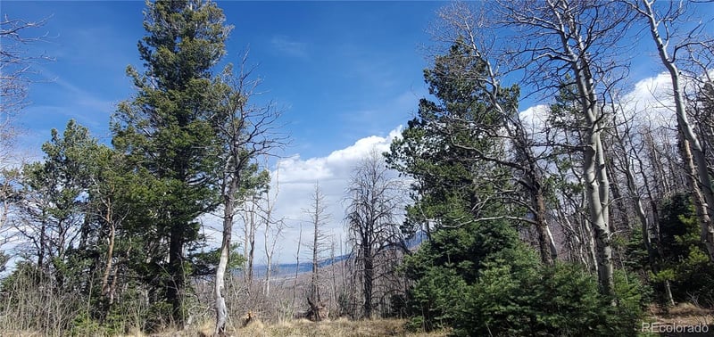 Lot 2560 Grojean Dr Lot 2560, Fort Garland, CO 81133