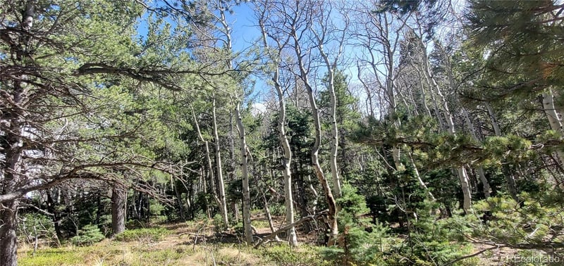 Lot 2560 Grojean Dr Lot 2560, Fort Garland, CO 81133
