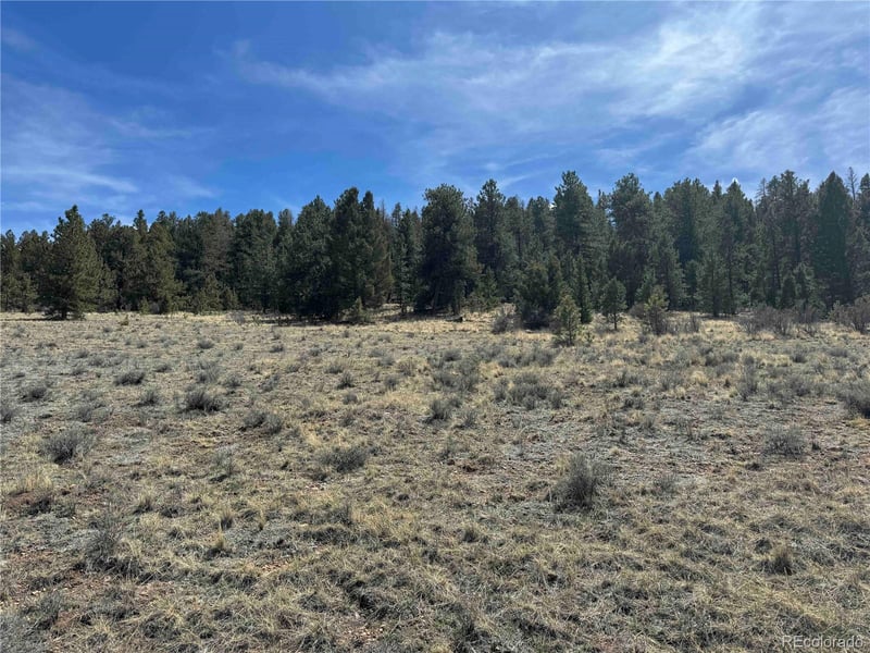 8014 County Road 2, Canon City, CO 81212