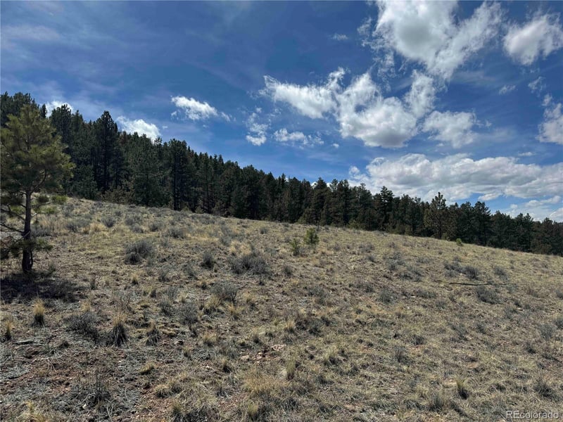 8014 County Road 2, Canon City, CO 81212