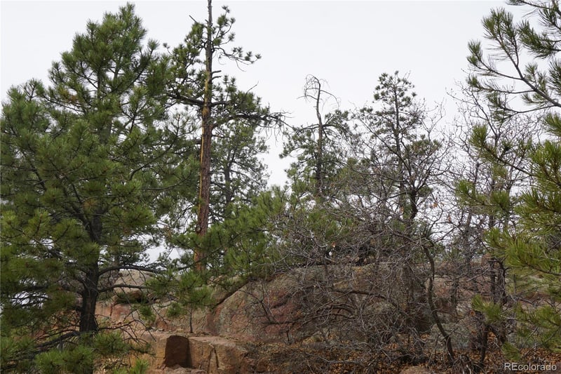 1893 Arapahoe Dr, Cripple Creek, CO 80813