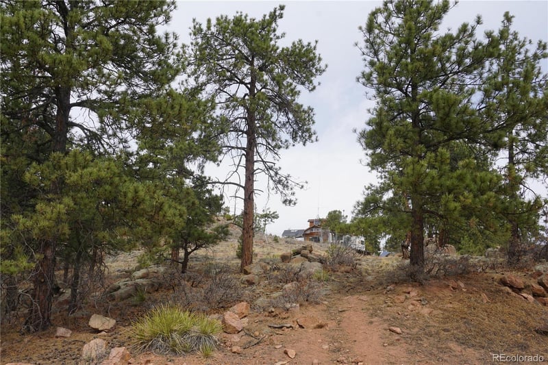 1893 Arapahoe Dr, Cripple Creek, CO 80813