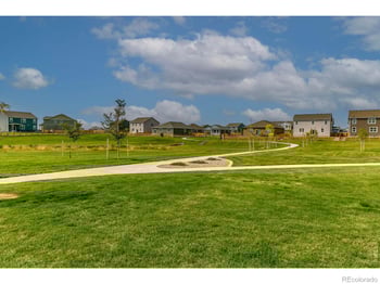 560 Wycombe Ct, Windsor, CO 80550