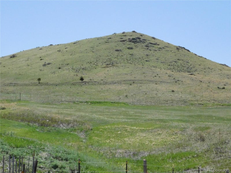 11972 Haskel Creek Rd, Larkspur, CO 80118