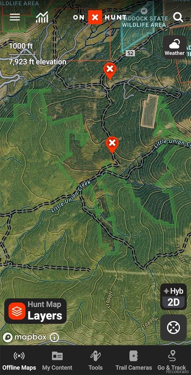 6020 Black Swan, Leadville, CO 80461