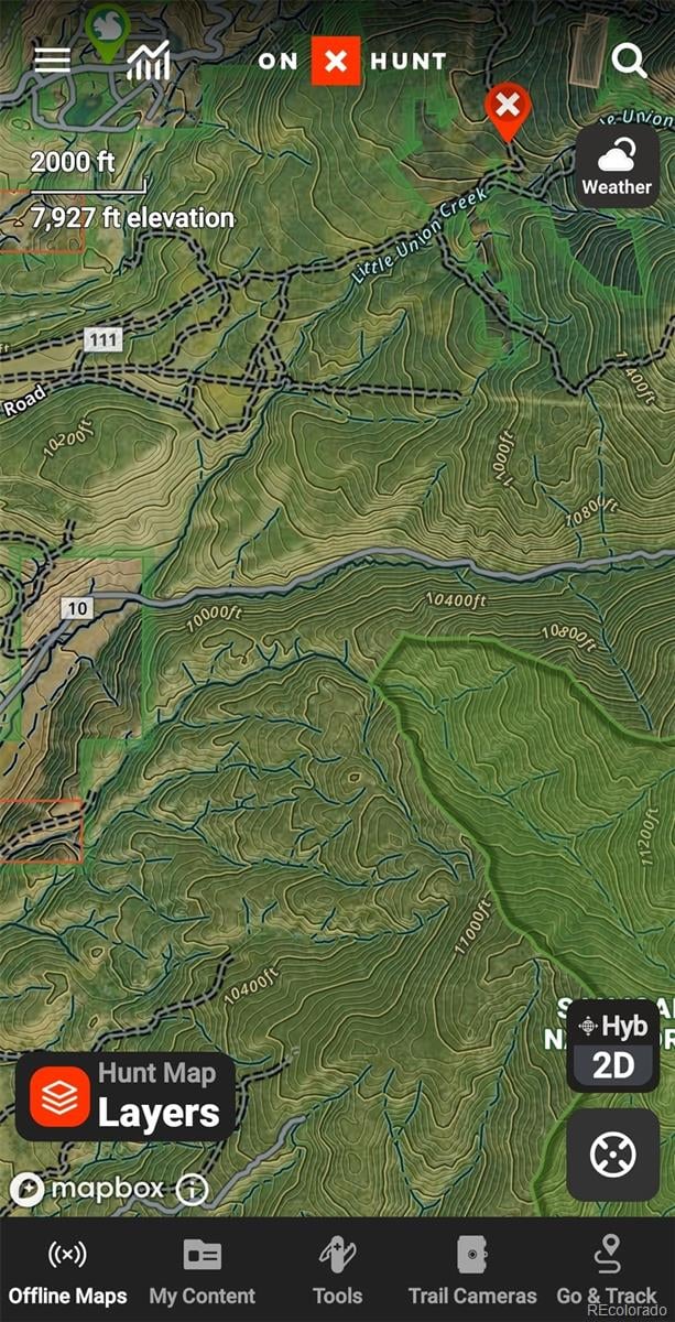 6020 Black Swan, Leadville, CO 80461