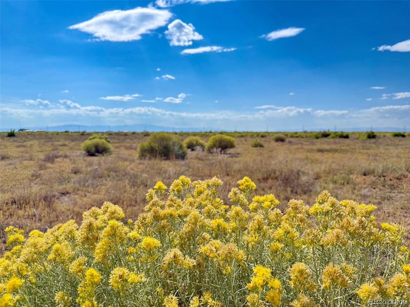 8 Sangre De Cristo, Mosca, CO 81146