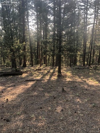 469 Echo Lake Dr, Lake George, CO 80827