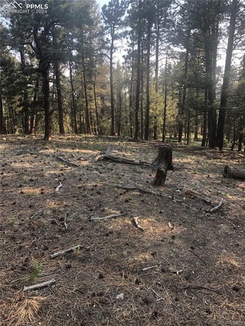 469 Echo Lake Dr, Lake George, CO 80827