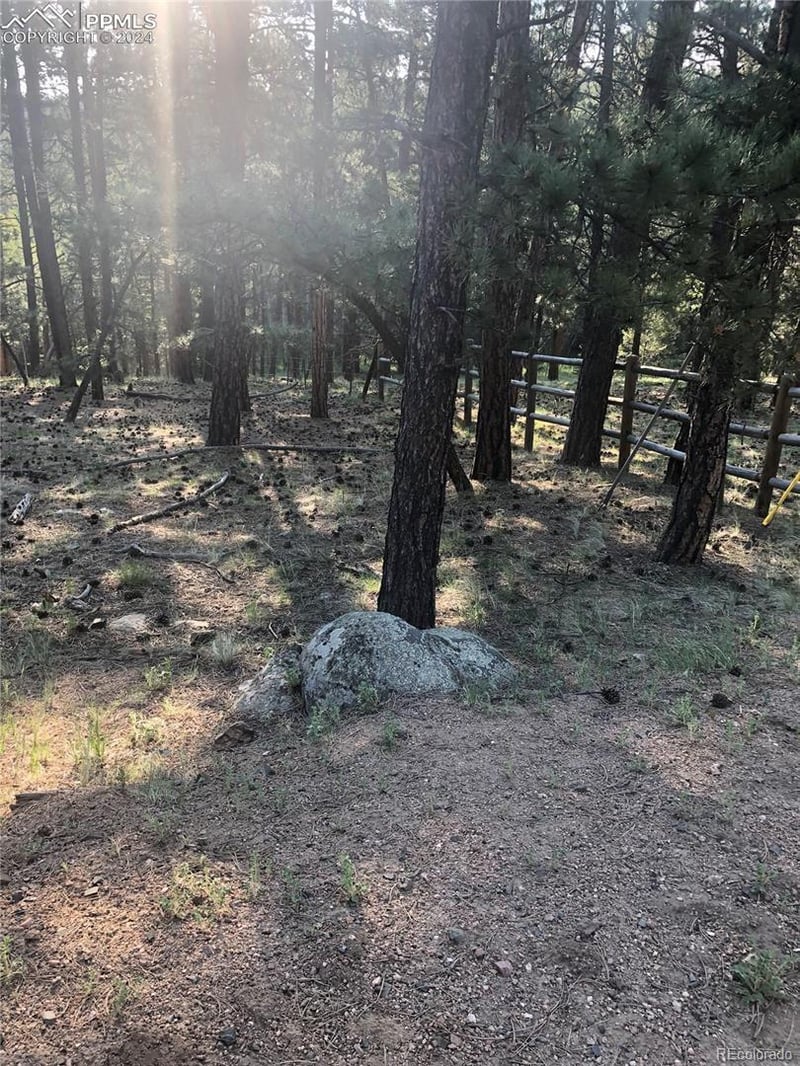 469 Echo Lake Dr, Lake George, CO 80827