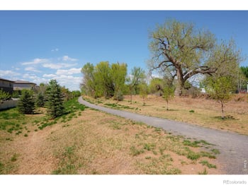 2245 Shandy St, Fort Collins, CO 80524