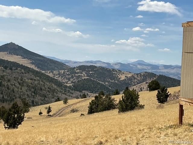 00 Rhyolite Mountain Mesa, Cripple Creek, CO 80813