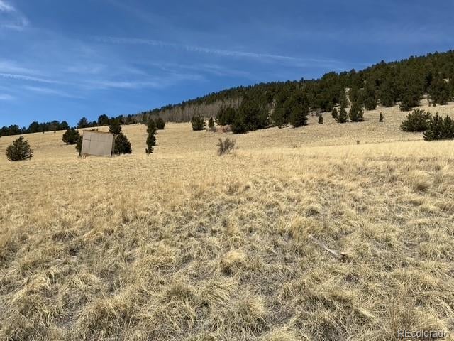 00 Rhyolite Mountain Mesa, Cripple Creek, CO 80813