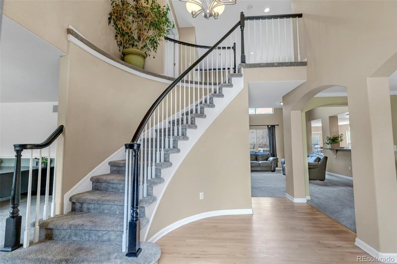 1645 Birchleaf Ct, Castle Rock, CO 80104