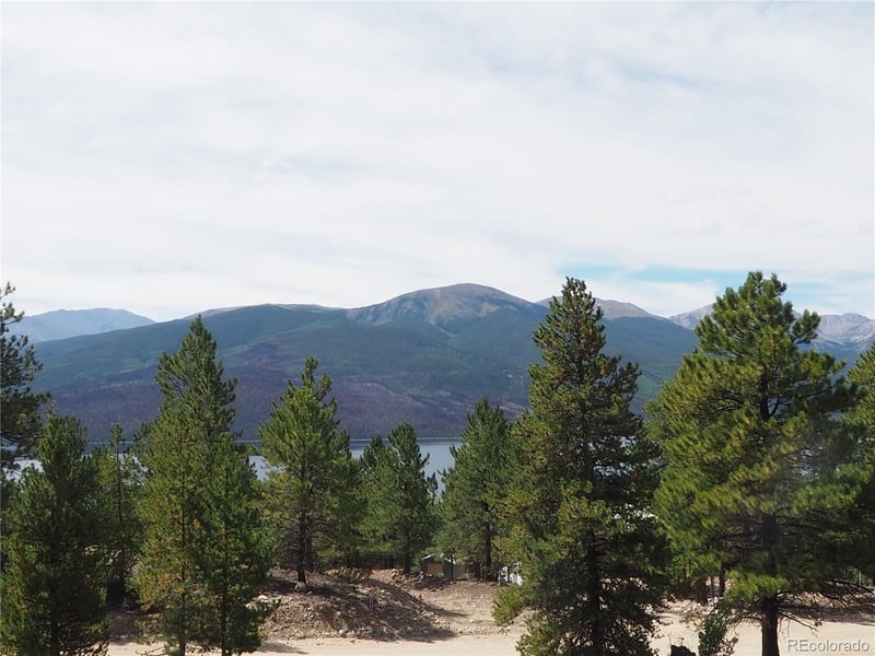9 Twin Peaks Dr, Twin Lakes, CO 81251