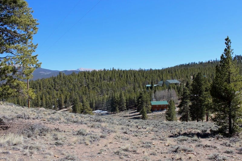 104 Cedar Dr, Twin Lakes, CO 80461