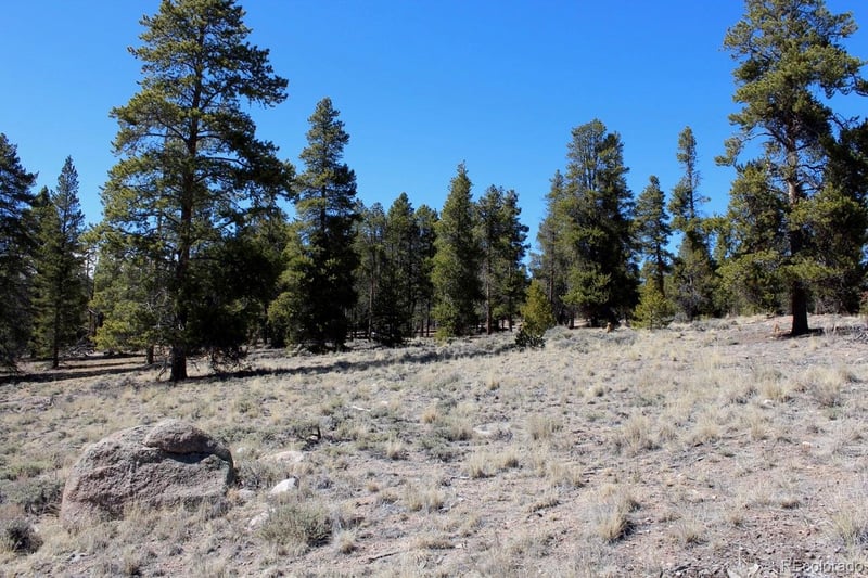 104 Cedar Dr, Twin Lakes, CO 80461