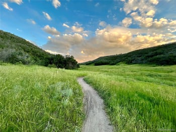 3543 Sky Church Dr, Castle Rock, CO 80109