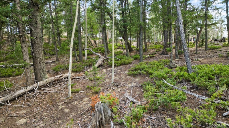 68 Yale Pl, Woodland Park, CO 80863